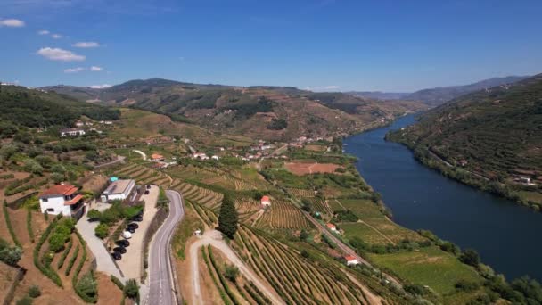 Uitzicht Vanuit Lucht Prachtige Wijngaarden Douro Valley Porto Portugal Een — Stockvideo