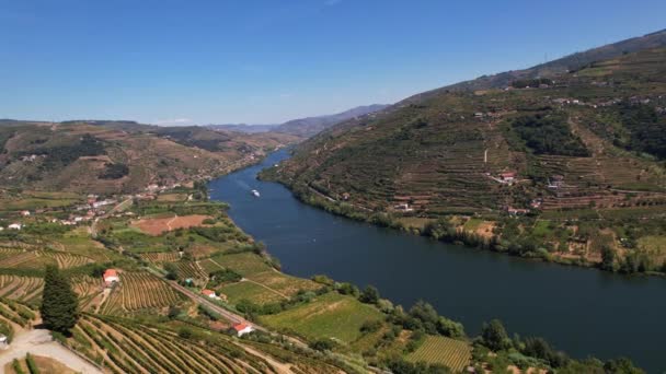 Uitzicht Vanuit Lucht Prachtige Wijngaarden Aan Weerszijden Van Helling Douro — Stockvideo