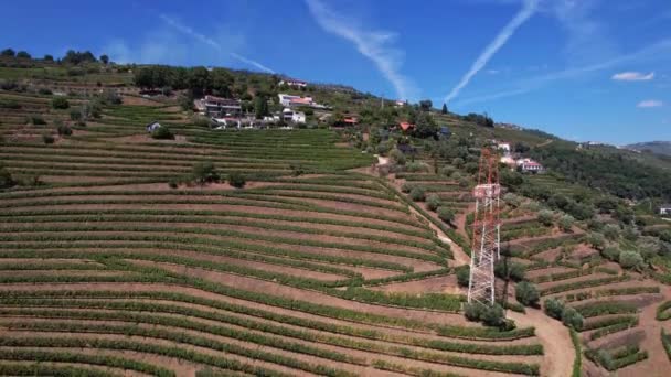 Vista Aerea Panoramica Della Valle Del Douro Con Vigneti Terrazzati — Video Stock