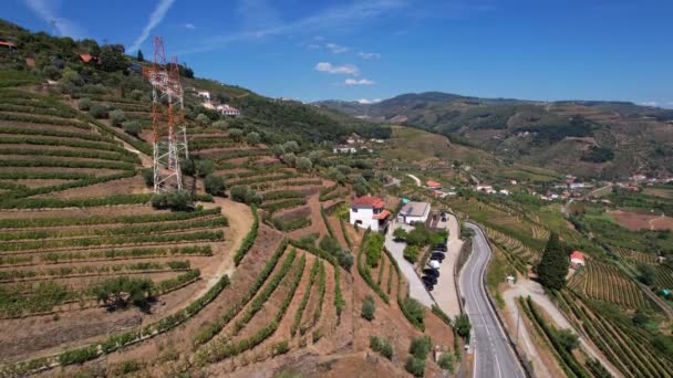 Воздушный Вид Долину Доуро Террасами Виноградников Португалия — стоковое видео