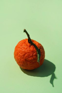 Yeşil yapraklı taze Clementine açık yeşil kağıt arka planda, sert gölgeler