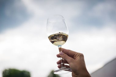 İnsanlar yaz terasında kafeteryada ya da restoranda bardakları şarapla tokuşturuyor, ellerinde cam şişeyle arka planda...