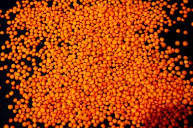 Çiğ Masur dalına, mazo mercimeğine ya da pembe mercimeğe yakın siyah renkli bir klozetin içinde, cam bir kavanozda, siyah damlalar üzerine izole edilmiş vaziyette.