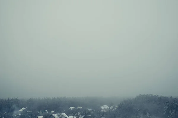 ヒップスターヴィンテージレトロスタイルでモミの森と霧の風景 — ストック写真