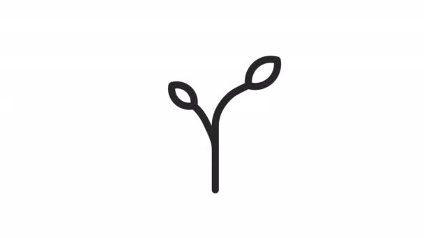 Анимированная Увядающая Линейная Икона Завялое Растение Умирающий Саженец Проблемы Окружающей — стоковое видео