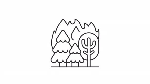 Линейный Значок Анимационного Лесного Пожара Стихийное Лесной Огонь Экосистемная Катастрофа — стоковое видео