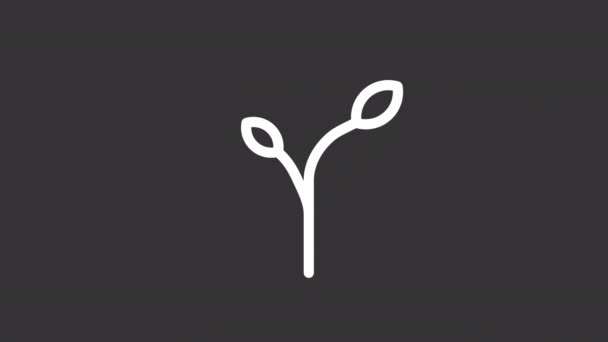 Animated Withering White Line Icon Wilted Plant Dying Seedling Environmental — стоковое видео