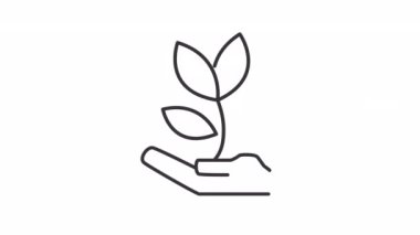 Animated investment linear icon. Growing income. Business funding. Investor. Palm and plant. Seamless loop HD video with alpha channel on transparent background. Outline motion graphic animation