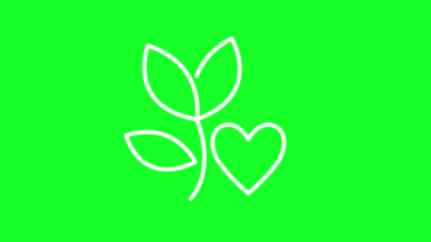 动画爱情植物白线图标 爱和关心的象征 带有色键的循环Hd视频 透明背景上的Alpha通道 黑色实心背景 轮廓运动图形动画 — 图库视频影像