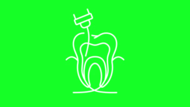 Анімована Піктограма Ендодонтії Білої Лінії Лікування Зубної Целюлози Цикл Відео — стокове відео