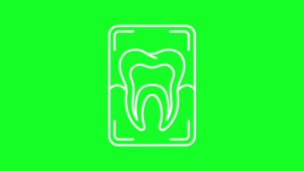 Animado Dental Xray Ícone Linha Branca Radiologia Exame Médico Loop — Vídeo de Stock