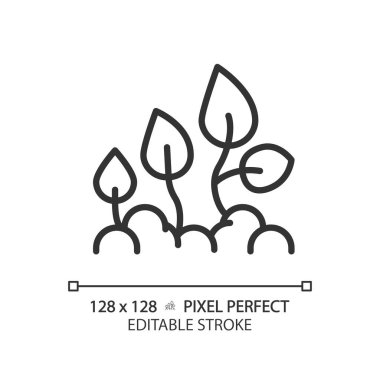 Bitki gelişimi doğrusal simgesi. Tohum filizlenmesi. Ekin yönetimi. Tohum yetiştirme aşamaları. Yaşam döngüsü. İnce çizgili çizim. Contour sembolü. Vektör çizimi. Düzenlenebilir vuruş