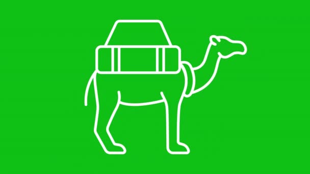 Animated Camel White Line Icon Двигаемся Головой Хвостом Домашнее Животное — стоковое видео