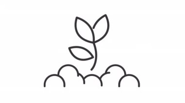 Bitki büyüme çizgisi animasyonu. Topraktan filizlenen canlandırılmış bitki. Bitki yetiştirme süreci. Şeffaf arkaplanda alfa kanalı olan kusursuz HD video. Taslak hareketli grafik canlandırması