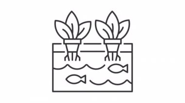 Canlandırılmış akaponik doğrusal simge. Bitki kökleriyle dolu bir akvaryumda yüzen balıklar. Şeffaf arkaplanda alfa kanalı olan kusursuz HD video. Taslak hareketli grafik canlandırması