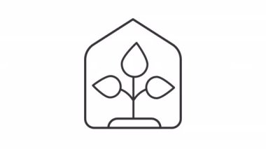 Animasyon filizi çizgi simgesi seti. Hareket eden yapraklı bitkiler animasyon. Bitki yetiştirme. Bitkileri elimde tutuyorum. HD video alfa kanallı, şeffaf arkaplan. Özet hareket grafiği