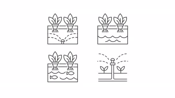 Tarım Teknikleri Animasyon Seti Animasyon Çizgisi Akaponik Hidroponik Suda Bitki — Stok video