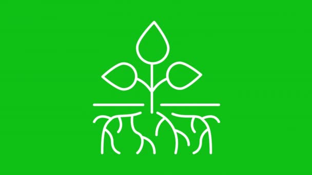 Animatie Plant Wortels Witte Lijn Pictogram Wortelanimatie Groeit Wortelstructuur Bladeren — Stockvideo