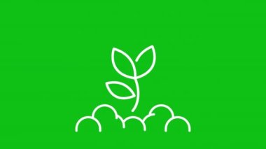 Beyaz çizgi animasyonu tohumlanıyor. Tohumları toprağa yayan animasyon el. Tohumlar filizleniyor. Krom anahtarlı HD video, alfa kanalı, şeffaf arkaplan. Taslak hareketli grafik canlandırması