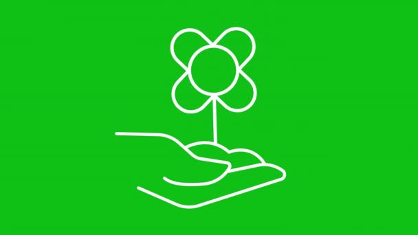 Проведите Анимацию Цветочной Белой Линии Человеческая Рука Держит Растительную Линию — стоковое видео