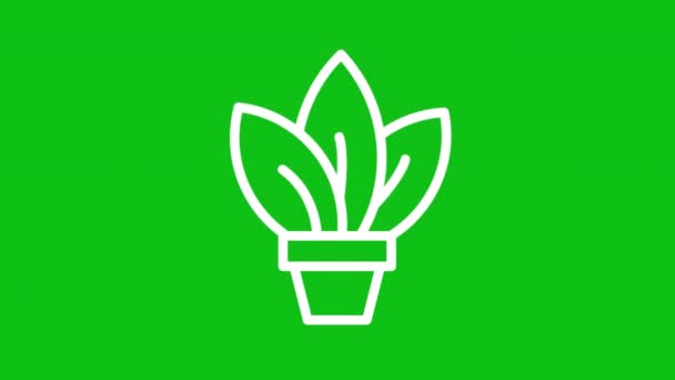 Animowana Ikona Rośliny Białej Linii Roślina Domowa Ruchomych Liści Animacji — Wideo stockowe
