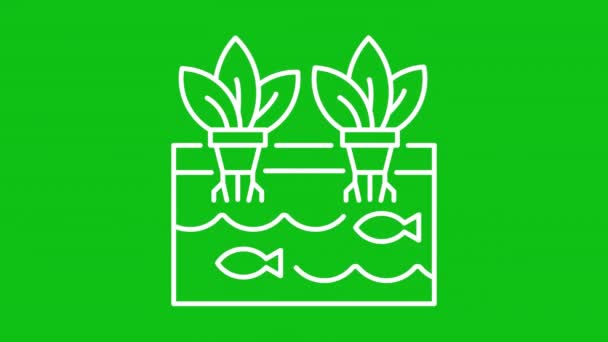 Animated Aquaponics White Line Icon Fish Swimming Tank Plant Roots — Stock Video