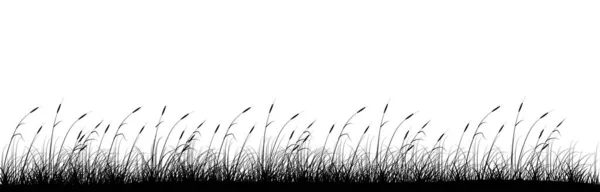 Growing Reeds Panoramic Background Design Riverside Vector Illustration Empty Copy — Stock Vector