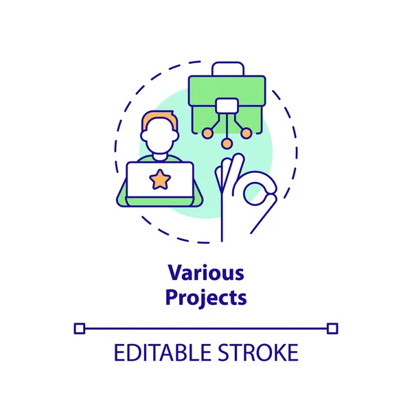 Olika Projekt Koncept Ikon Personlig Uppväxt Professionell Utveckling Digital Nomad — Stock vektor