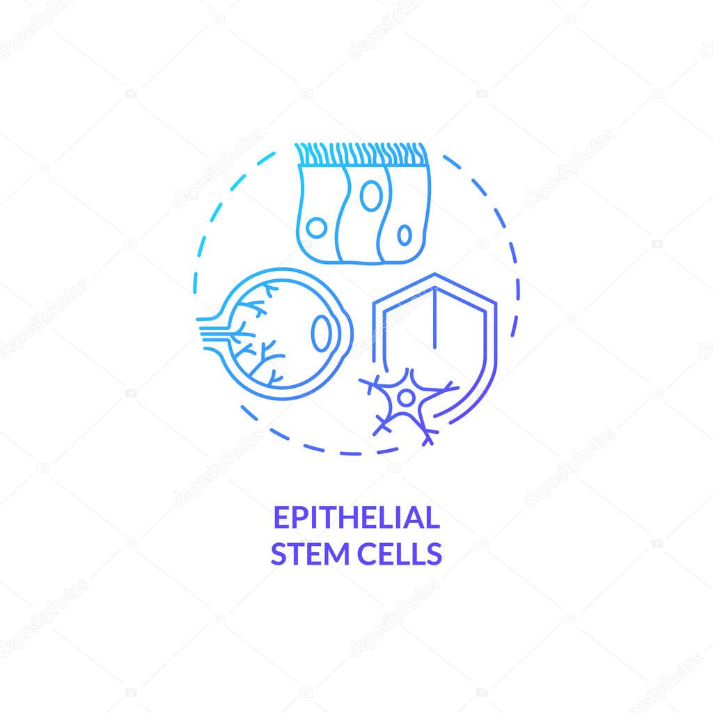 2D gradient epithelial stem cells icon, simple isolated vector, thin line blue illustration representing cell therapy.