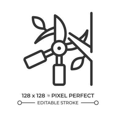 Doğrusal simge buduyor. Makas kesme dalı. Ağaç buduyorum. Bahçe işleri ve ağaç bakımı. Bitki bakımı. İnce çizgili çizim. Contour sembolü. Vektör çizimi. Düzenlenebilir vuruş