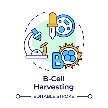 B-hücresi çok renkli konsept ikonu hasat ediyor. Antikor üretimi. Hibridoma teknolojisi. B-lenfositler. Yuvarlak şekil çizimi. Soyut bir fikir. Grafik tasarımı. Makalede kullanması kolay