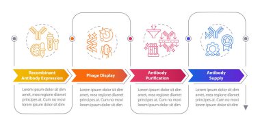 Antikor üretim süreci dikdörtgen bilgi grafikleri. Aşama görüntüsü. Antikor arındırma. Görselleştirme şablonu 5 seçenek. Çizgi simgeleriyle yatay akış şeması. Kullanılan sayısız Pro-Kalın, Düzenli yazı tipleri