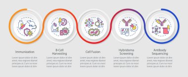 Hibridoma teknolojisi bilgi çemberleri dizisi. Bağışıklık. Monoklonal antikorlar. 5 adımlı görselleştirme düzeni. Bilgi grafiği döngü sunumu. Kullanılan Myriad Pro-Normal yazı tipi