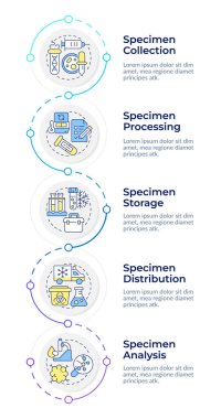 Örnek yaşam döngüsü, dikey dikey bilgi dizisi. Biyolojik örneklerle laboratuvar deneyleri. 5 adımlı görselleştirme bilgi tablosu. Daireler iş akışı. Montserrat Yarı Kalın, Lato Düzenli yazı tipleri