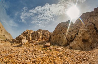 Mars yolunda yaşa.