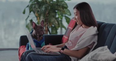 Bir kadın laptopuna odaklanırken köpeği huzur içinde modern, davetkar ve yaratıcı bir yerde oturuyor.