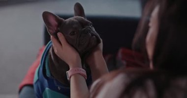 Genç, mutlu bir kadının oturma odasında köpeğini okşaması ve kucaklaması. Komik ve sevimli siyah Fransız bulldog evin sahibiyle oynuyor..