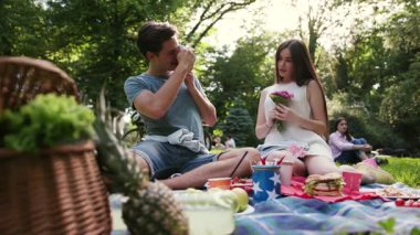 Parkta dinlenen, gülümseyen bir çift piknik konuşması yapan bir adam. Polaroid kadın, ağaç, aşk kızı yaz aşkı. Güzel, duygusal doğa.