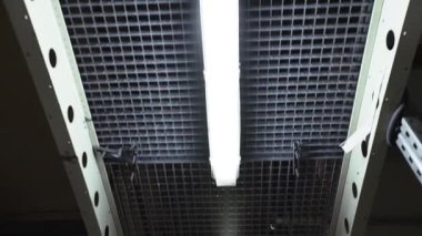 Bodrumdaki ışık fabrika depoları makine iş ekipmanlarını geri çerçeveletiyor yavaş çekimde inşaat lojistik ambalaj makinesi endüstriyel kutu işi yüklüyor