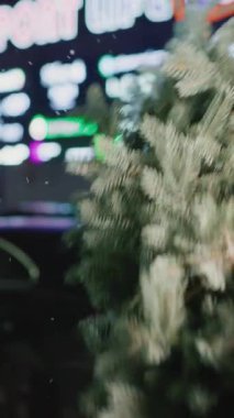 Sıcak giysili neşeli bir adam güzel dekore edilmiş bir Noel ağacını kucaklıyor, kış şenliklerini kutluyor.