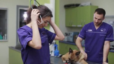 Güzel kadın veteriner bak kamera arkası asistanı veteriner doktor veteriner veteriner veteriner hastanesinde sevimli köpeği teftiş ediyor hayvan kontrolü uzmanı köpek muayene uzmanı kadın.