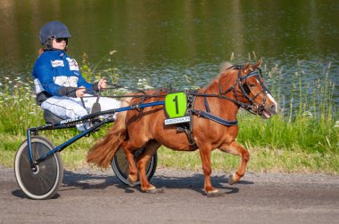 Puumala, Finlandiya - 30 Haziran 2023: Eşek koşum takımı yarışı. Yerel at severler topluluğunun rekabeti. Koşumlu bir midilli. İnsanların ve atların duyguları birbirine yakındır.