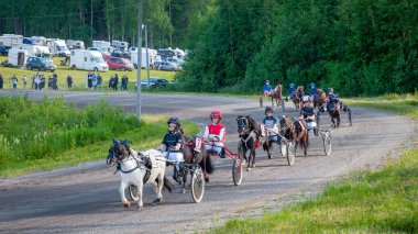 Puumala, Finlandiya - 30 Haziran 2023: Eşek koşum takımı yarışı. Yerel at severler topluluğunun rekabeti. Koşumlu bir midilli. İnsanların ve atların duyguları birbirine yakındır.