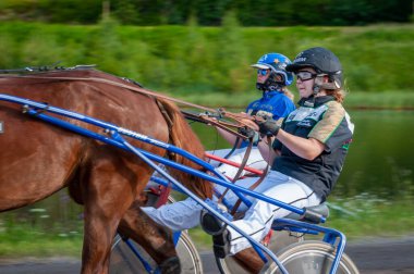 Puumala, Finlandiya - 30 Haziran 2023: Eşek koşum takımı yarışı. Yerel at severler topluluğunun rekabeti. Koşumlu bir midilli. İnsanların ve atların duyguları birbirine yakındır.