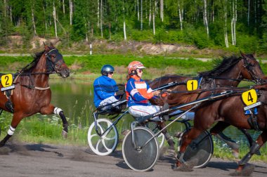 Puumala, Finlandiya - 30 Haziran 2023: Eşek koşum takımı yarışı. Yerel at severler topluluğunun rekabeti. Koşumlu bir midilli. İnsanların ve atların duyguları birbirine yakındır.