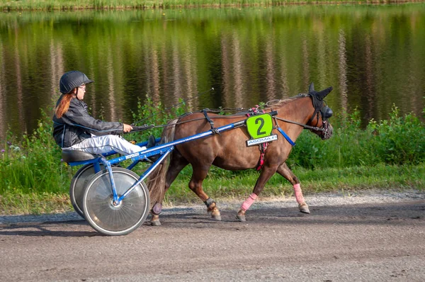 フィンランドのパウマラ 2023年6月30日 ロバート ハーネス レース 馬愛好家の地元社会の競争 ハーネス ポニー 人と馬の感情が閉じる ロイヤリティフリーのストック写真