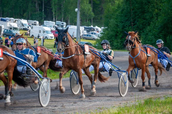 フィンランドのパウマラ 2023年6月30日 ロバート ハーネス レース 馬愛好家の地元社会の競争 ハーネス ポニー 人と馬の感情が閉じる ストック画像