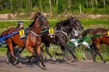 Puumala, Finlandiya - 30 Haziran 2023: Eşek koşum takımı yarışı. Yerel at severler topluluğunun rekabeti. Koşumlu bir midilli. İnsanların ve atların duyguları birbirine yakındır.