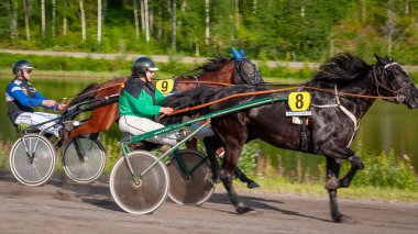 Puumala, Finlandiya - 30 Haziran 2023: Eşek koşum takımı yarışı. Yerel at severler topluluğunun rekabeti. Koşumlu bir midilli. İnsanların ve atların duyguları birbirine yakındır.