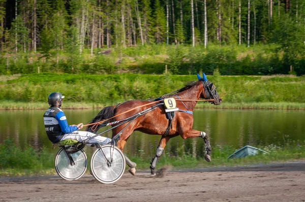 フィンランドのパウマラ 2023年6月30日 ロバート ハーネス レース 馬愛好家の地元社会の競争 ハーネス ポニー 人と馬の感情が閉じる ストック画像